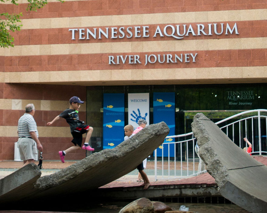 A child plays on rocks in front of the Tennessee Aquarium in downtown Chattanooga, TN