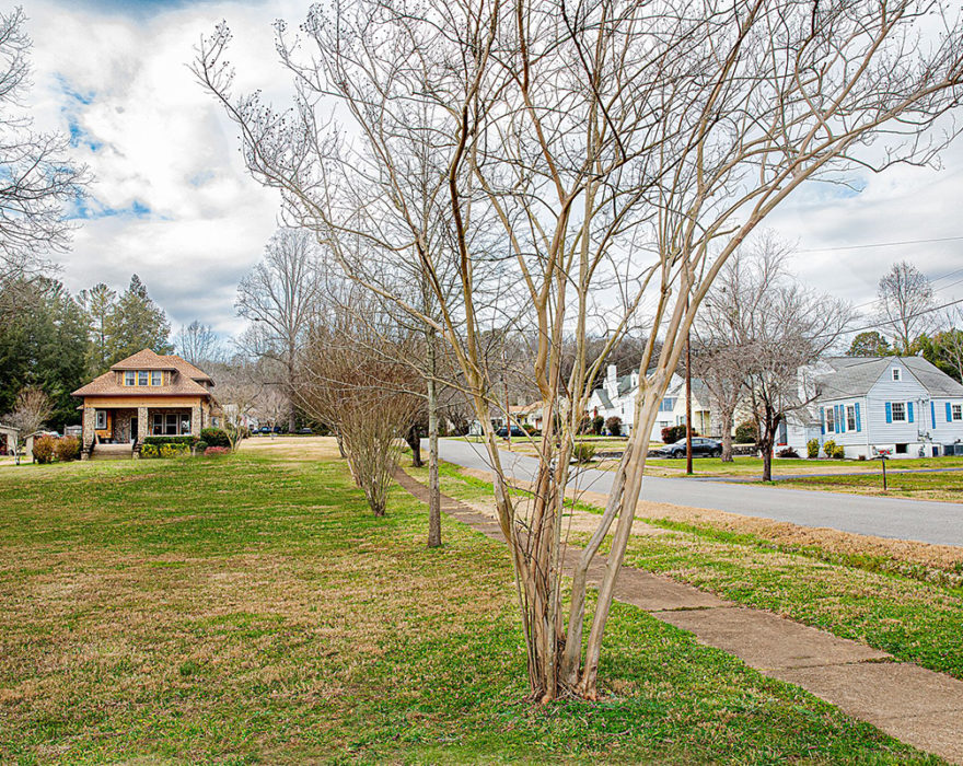 Trees and houses line a suburban street in Red Bank, TN
